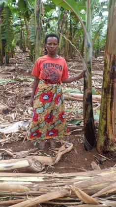 Farmers need more support to increase output and improve work processes. The New Times / T. Muyagu