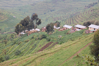 Gishwati reclaimed land. Farmers are now reaping heavily from the land that was reclaimed three years ago.  The New Times/ Courtesy.