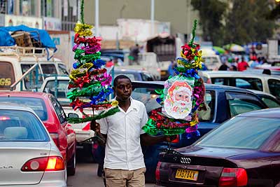 A hawker sells Christmas trees in Kigali City.  The New Times/ Timothy Kisambira.