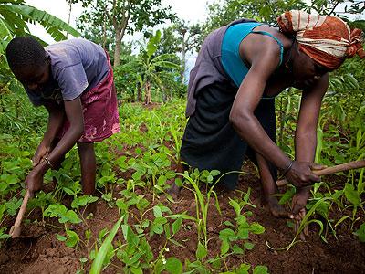 Government has been requested to publicise Land Law. The New Times/T Kisambira