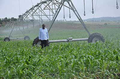 A maize farmer stands by his moveable irrigation system. Modern farming methods are a neccesity for any country to achieve sustainable food output. The New Times / Peterson Tumwebaze  
