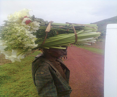 A farmers carries flowers on his head as he takes them to retailers. NEAB says it provides cold chain facilities to farmers, especially those who produce for the export market.