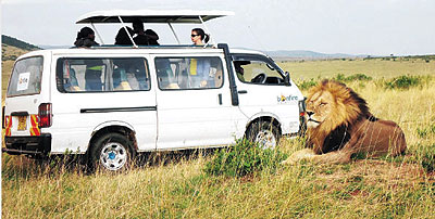Poaching is a big threat to the tourism sector. Net photo