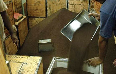 Rwandau2019s November tea exports were up, earning Rwf2.9b. File