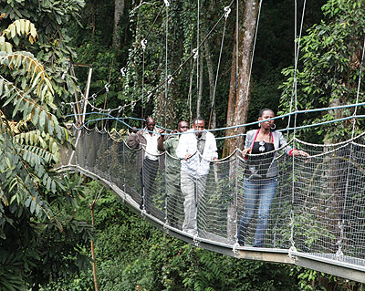 Canopy walk in Nyungwe National park. The walk in one of Rwandau2019s tourism products  The New Times/ File.