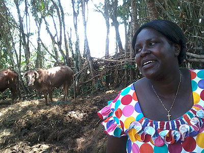Besides working at Gisagara Health Centre, Kampororo is also a farmer. She also keeps a number of cows. The New Times/Jean-Pierre Bucyensenge
