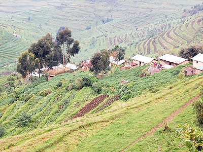 A settlement in Gishwati area. In 1994, militia groups enlisted the help of hounds to hunt down Tutsis hiding in the forest in this area. (Louisa Esther Glatthaar)