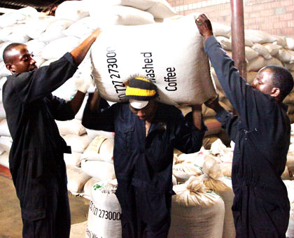 Workers at a trading company coffee store in Gikondo, a Kigali suburb, load bags of coffee beans for export. John Mbanda. 