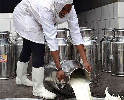 Unprocessed milk at a collection center. (File)