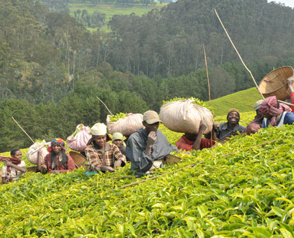 Rwanda marks the Labour Day today with a call on citizens to strive for self-reliance. File.