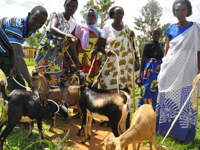 Some of the survivors receive the donation. (Susan Babijja)