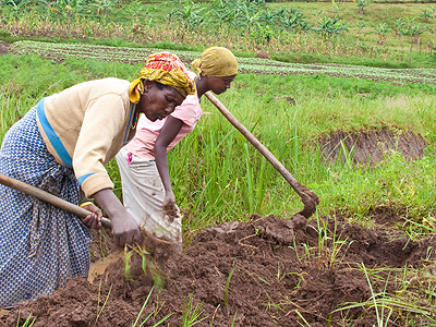 Farmers tilling their land in Huye District. Many farmers are ignorant about land rights. (File)