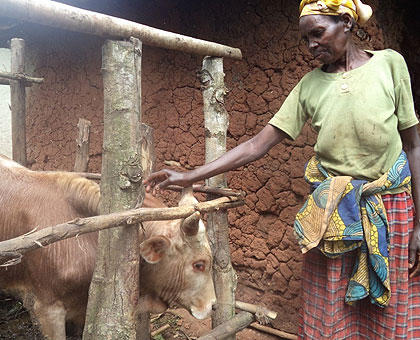 Kabagema strokes a cow she acquired through pooling resources as a community. (Jean-Pierre Bucyensenge)