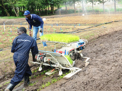 A farmer plants rice using a modern machine. Agriculture, experts say , needs to be looked at as a business rather than a means to tackle poverty. (John Mbanda)