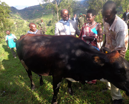 A Genocide widow admires the cow given to her by minaloc. Chating with her is Local Government minister, James Musoni. John Mbanda.