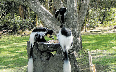 The region is endowed with immense tourist attractions that should support its push to woo more visitors. 