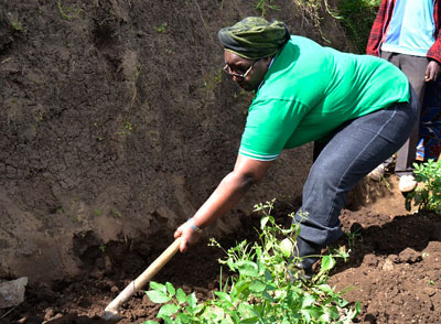 Leading by example: Minister for Disaster Managment and Refugees Seraphine Mukantabana, joined residents to dig terraces during the launch of the climate adaptation project on Monday. Jean du2019Amour Mbonyinshuti.