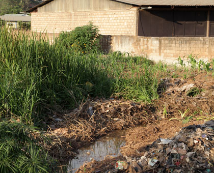 An imposing structure stands in a wetland near the Nyabugogo highway. Environmental activists have called for wetlands to be preserved and restored. (John Mbanda)
