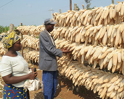 The deal between EAX and Minagri assures farmers of a ready and better market. File photo.