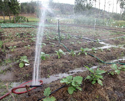 The government intends to connect rural areas to economic zones to boost agriculture through access to markets. File. 