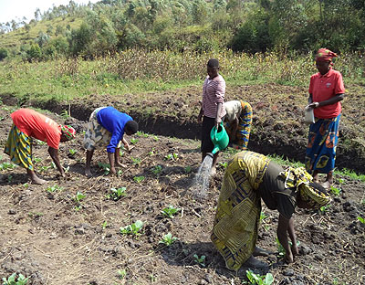 Farmers irrigate their gardens. Irrigation farming has helped reduce the dangers associated with relying on natural factors. File. 