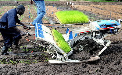A farmer using a rice planting machine at a past  Agricultural Expo. Regional efforts in modern farming are expected to accelerate growth. File.