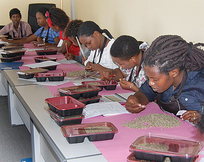 Workers prepare coffee beans for roasting. There is a ready market for produce like coffee in Equatorial Guinea.