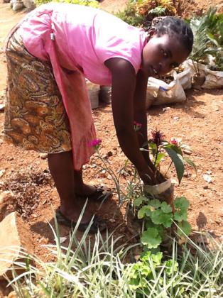 Mukandutiye cut a niche in selling flowers from Nyabugogo and Karuruma swamps. (Seraphine Habimana)
