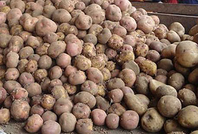 Food and non-beverage prices were up during the month of July. 