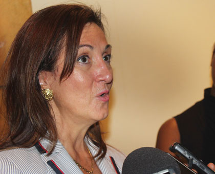 WIPOu2019s Francesca Toso speaks to reporters after the meeting on Tuesday. (Ben Gasore)