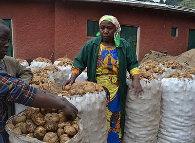 Mukamurara with sacks of irish potatoes from her garden. Jean du2019Amour Mbonyinshuti. 