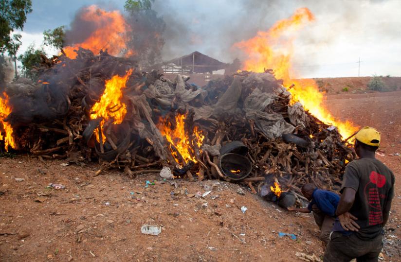 Workers at Nduba dumping site burn the  sandalwood on Wednesday. (T. Kisambira)