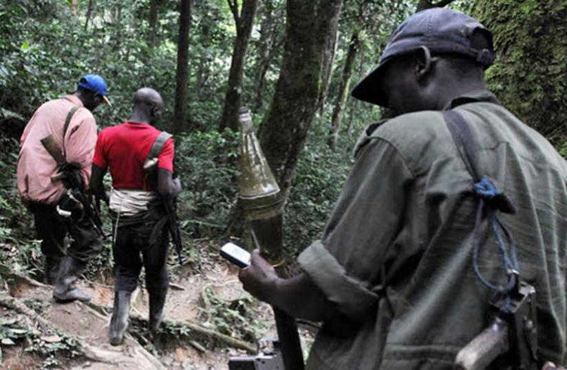 Some of the FDLR militia in DR Cong jungles. (Net photo)