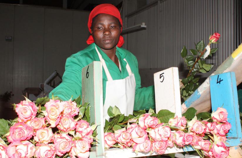 A kenyan florist in Nairobi. The sector needs a quick conclusion of the trade negotiation. (Courtesy)
