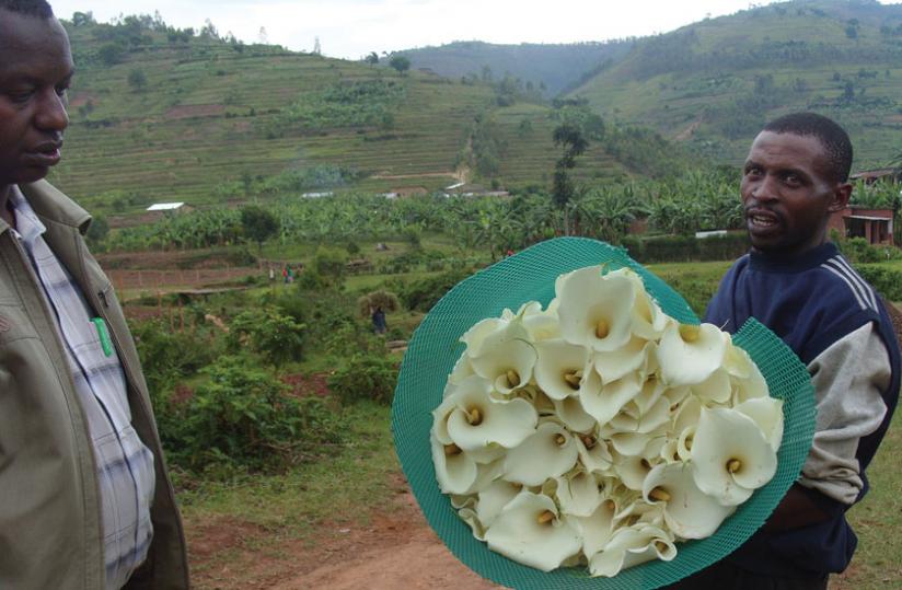 A flower farmer talks to a customer. The flower sector has failed to take advantage of the huge European market due to capacity challenges. (File)