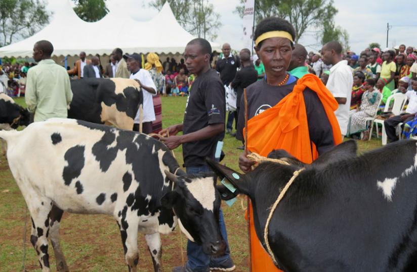 Some of the beneficiaries with their cows during the launch of the Girinka Week in Kansi Sector, Gisagara District yesterday. (jean Pierre Bucyensenge)