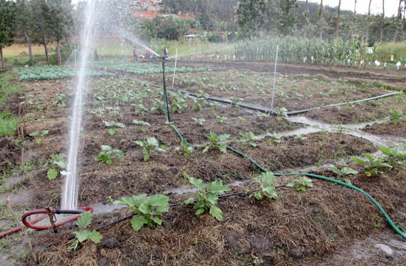 A vegetable garden under irrigation in Gasabo District. Part of the funding will boost agriculture. (John Mbanda)