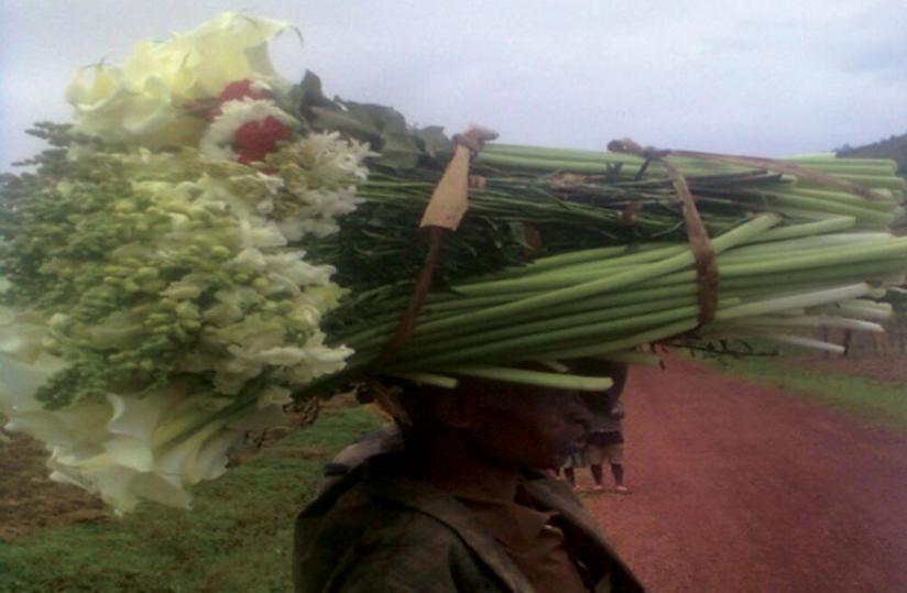 A farmer takes flowers to buyers. Poor handling is one of the challenges facing the sector.