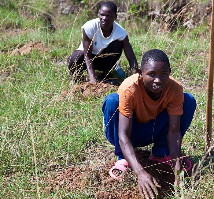 Local residents in Rusororo, Gasabo District plant trees during Umuganda last year.(Timothy Kisambira)