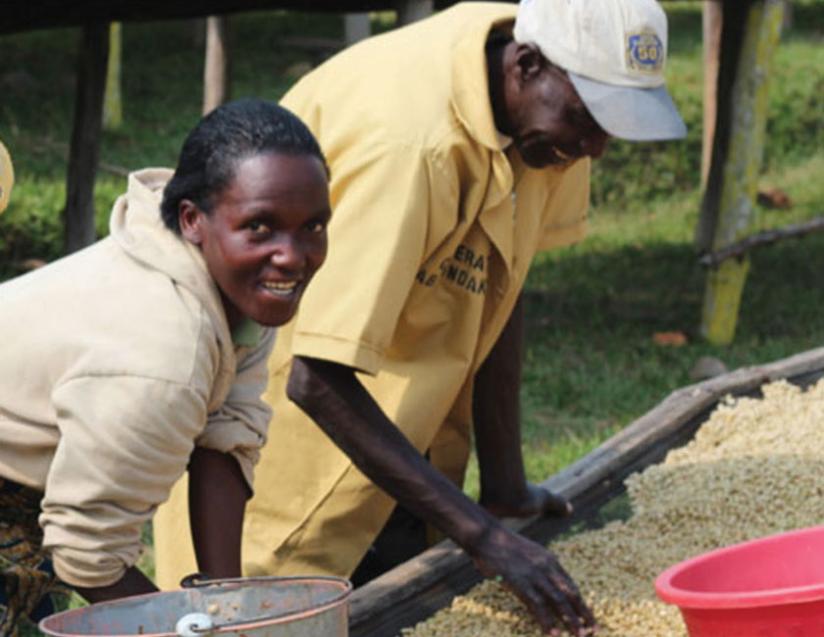 Members of Abakundakawa Cooperative in Rushashi sort coffee beans. Co-ops like this will be the main beneficiary of the bill when it is implemented. (Net)