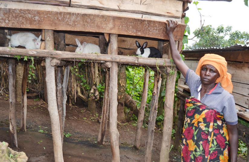 One of the cooperative  members shows off  her rabbits at her home in Burera. (Jean du00e2u20acu2122Amour Mbonyinshuti)