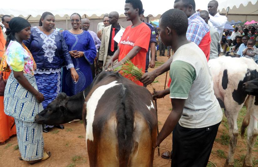 An unidentified woman in Butamwa Sector in Nyarugenge District (L) receives a cow from her neighbours under the Girinka programme as the District mayor Solange Mukasonga (2L) looks on last year. (File)