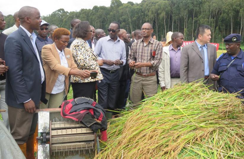 Minister Mukeshimana (third left) and other officials tour demonstration rice fields in Huye on Wednesday.  (Jean Pierre Bucyensenge)