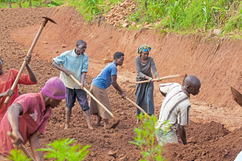 Farmers in Rwamagana till land. Rwandau00e2u20acu2122s digital land administration has helped solve many land problems. (File)