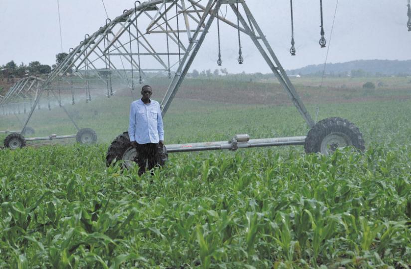 A maize farmer inspects the crop. Regional countries have been urged to support the agriculture sector to improve output. 