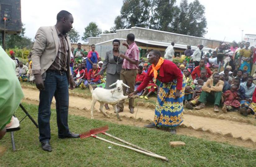 Jacqueline Dusabimana, one of the beneficiaries, pulls her dairy goats while Claude Kabandana, the executive secretary for Kitabi Sector, looks on, yesterday. (Thu00c3u00a9ogu00c3u00a8ne Nsengimana)