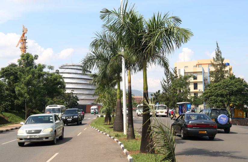 Palm trees along airport road. The City values the trees so much that destroying one accrues a fine of a million francs. (J. Mbanda)
