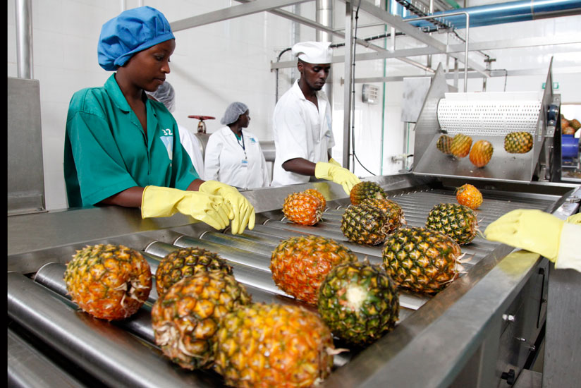 Agro-processing is one of the sectors that will benefit under the initiative.