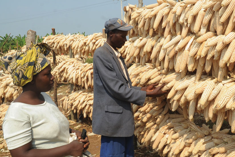 A commodities exchange assures farmers like these ones a sustainable market. 