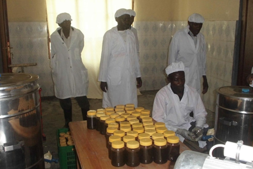 Honey being packaged after extraction in Huye District. (Emmanuel Ntirenganya)rn. 